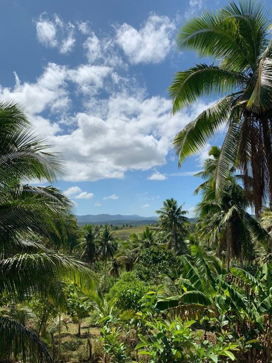 Off-the-Grid Farm, View of the Valley